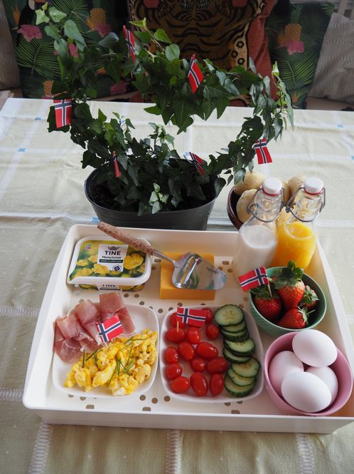 Hovedbilde Cooltray Severingsbrett med fryseelement