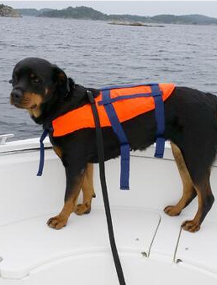 Redningsvest for hund - Fra 3-40 kg